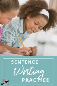 sentence-writing-pin