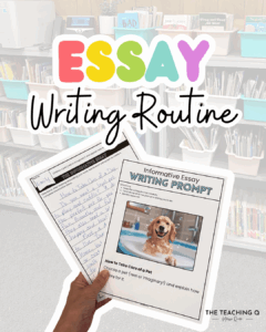 Essay Writing worksheets